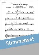 Festliche Musik (Satz 3) 