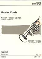 Konzert-Fantasie es-Moll 