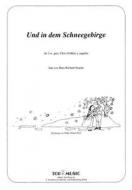 Und in dem Schneegebirge 