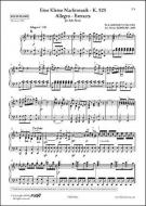 A Little Night Music: Allegro 