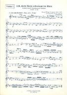 Ach, mein Herze schwimmt im Blute TVWV 1:29 