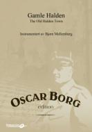 The Old Halden Town (Gamle Halden) 