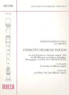 Exercitia duarum vocum 