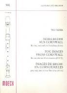 Nebelbilder aus Cornwall 