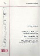 Ziehende Wolken 