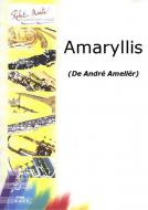 Amaryllis 