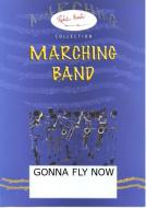 Gonna Fly Now 