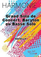 Grand solo de concert 