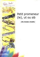 Le petit promeneur 