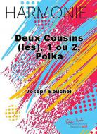 Les deux cousins 