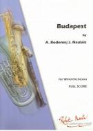 Mon Deuxième Concert 