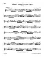 Weinen, Klagen, Sorgen, Zagen 