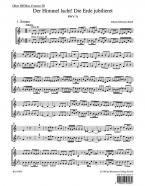 Der Himmel lacht, die Erde jubilieret 