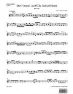 Der Himmel lacht, die Erde jubilieret 