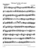 Schwingt freudig euch empor 