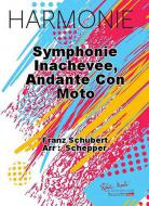 Symphonie inachevee, Andante con moto 