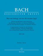 Was mir behagt, ist nur die muntre Jagd 