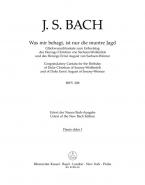 Was mir behagt, ist nur die muntre Jagd 