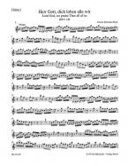 Herr Gott, dich loben alle wir 