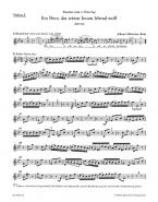 Ein Herz, das seinen Jesum lebend weiß 