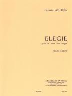 Elegie pour la Mort d'un Berger 