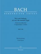 Was mir behagt, ist nur die muntre Jagd Standard