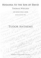 Hosanna To The Son of David 