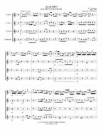 Allegro from the Flute Sonata 