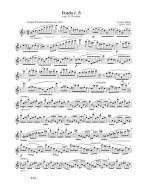 Erwachen zur Vollkommenheit Heft 2 