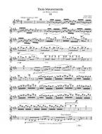 Erwachen zur Vollkommenheit 1 