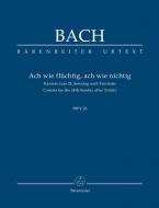 Ach wie flüchtig, ach wie nichtig 