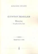 Blumine' Symphonischer Satz 