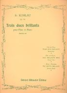 Trois Duos Brillants op. 110 Vol. 2 