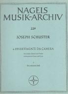 Zwei Divertimenti da camera 