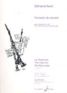 Fantaisie de Concert 