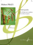 17 Mini-Puzzles 