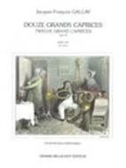 12 Grands Caprices op. 32 