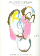 Panorama Cor Vol. 1 