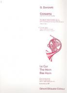 Concerto pour Cor et Orchestre a Cordes 