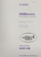 Concerto en Mi Mineur 