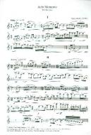 Acht Momente für Flöte solo 