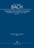 Vergnügte Ruh, beliebte Seelenlust Standard