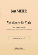 Variationen für Viola und Kammerorchester Standard