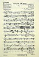 Rosen aus dem Süden op. 388 Standard