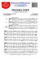 Swansea Town 