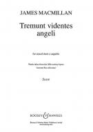 Tremunt videntes angeli 