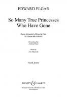 So Many True Princesses Who Have Gone 