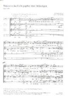 Warum ist das Licht gegeben Standard