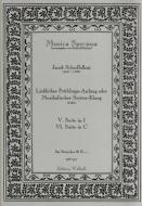 Lieblicher Frühlings-Anfang oder Musikalischer Seyten-Klang: Suiten Nr. V & VI (in f & C) 