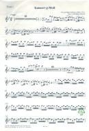 Konzert g-Moll 'Harrach-Konzert' 